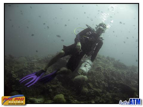 Diving Phi Phi Island with Phi Phi Scuba Diving Center