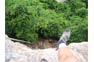 A Foot Over The Drop On Phi Phi Island
