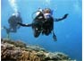 Phi Phi Ley Diving