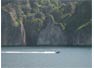 Phi Phi Don Cliffs Near Wang Long