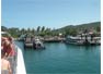 Arriving on tropical Phi Phi Island