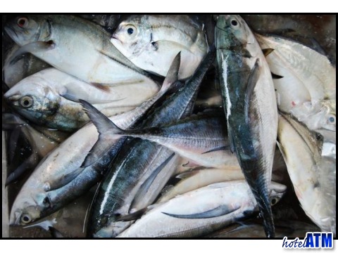 Resh Fish Caught In The Morning Market